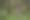 Enlarge the image