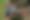 Enlarge the image